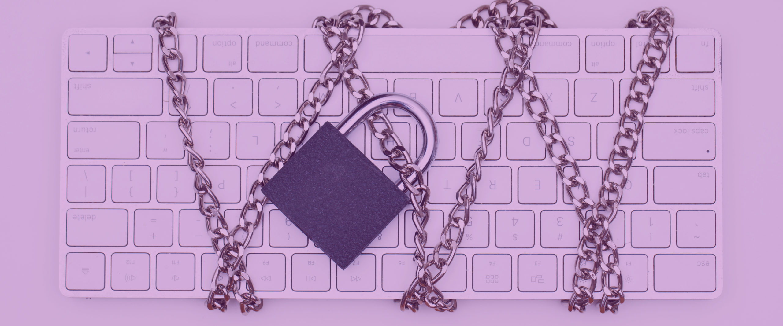 Nouveau défi cyber pour Eberfirm : lancement d’un Bug Bounty !